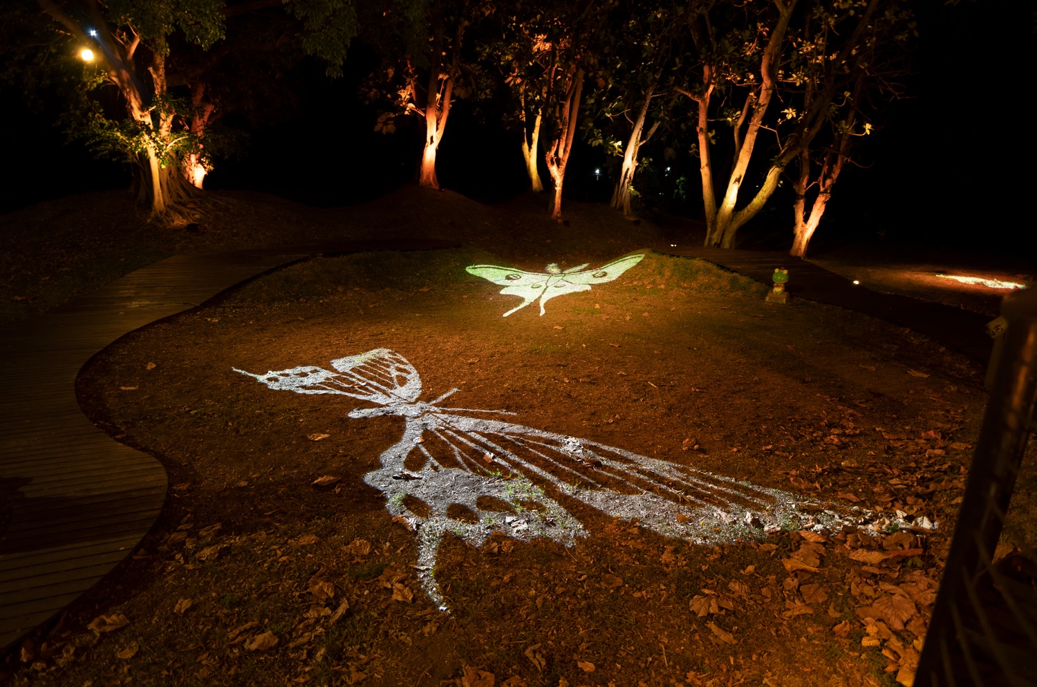 2022 台東光祭 (2)